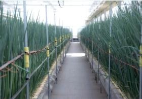 事業所の情報＿００７