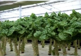 事業所の情報＿００８