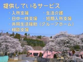 提供しているサービス