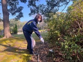 ５３０運動協力