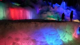 飛だ高山氷点下の森ライトアップ