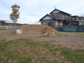 事業所の情報＿００５