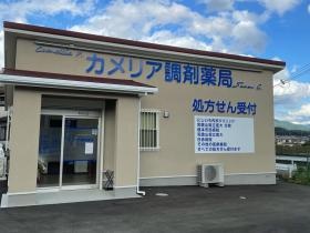 カメリア調剤薬局 伊都郡かつらぎ町