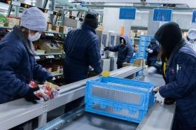 冷凍専用の防寒着を着て作業しています