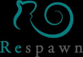 会社ロゴ・会社コーポレートカラーのティールを採用