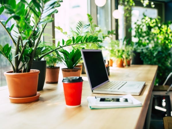 SNS運用企画スタッフ・企画スタッフ・正社員