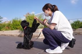 施設のスタッフ犬・ロイです