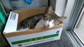 一緒にお仕事出来るのを楽しみにしてます。