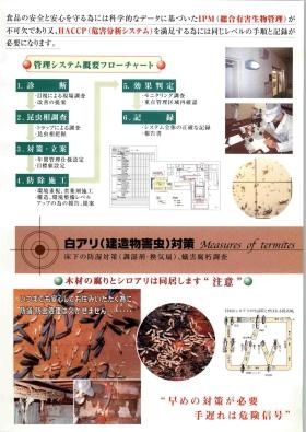 パンフ（管理システムｆロチャート・シロアリ対策）