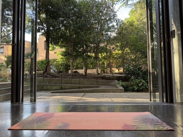 都心にありながら緑がみえるスタジオでヨガやバレエのレッスンをしています。