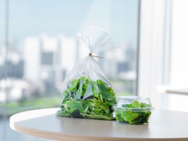 完全無農薬で育てたベビーリーフをランチのおともに♪