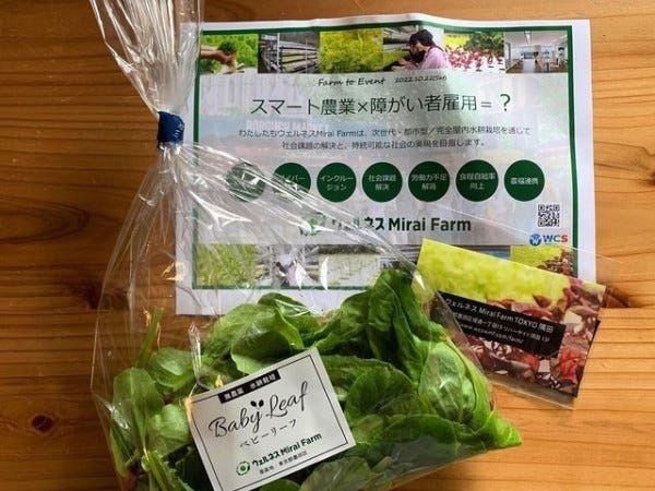 収穫したベビーリーフを、フードバンクさんや子ども食堂さんに寄贈したりもしています。