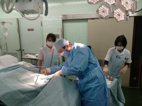 処置の様子