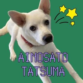 セラピードック（シール）