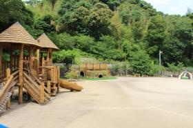 緑に囲まれた園庭、裏山には冒険の森もあります