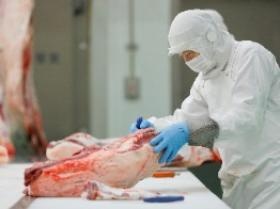 金沢ミートパッカーでの牛枝肉加工業務