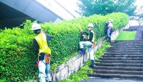 ２０２４新卒社員による公園の保全メンテナンス（低木剪定）