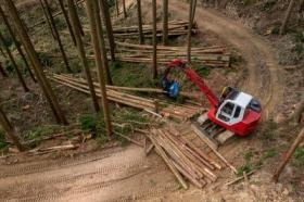 プロセッサー造材の様子