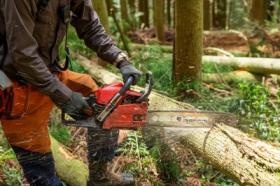 造材作業の様子