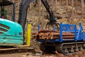 グラップル積込み・フォワーダ搬出の様子