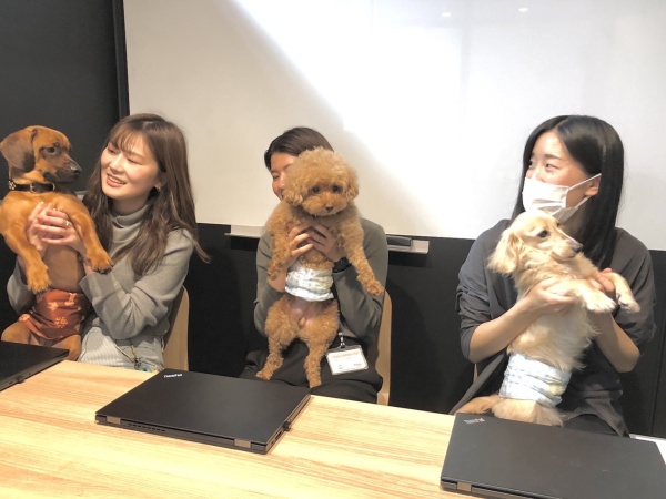 愛犬と通勤可能！お留守番させる心配はありません。