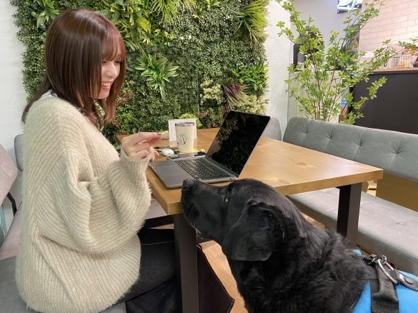 バックオフィス・契約企業様のサポート業務・カスタマーサポート