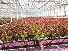 事業所の情報＿００７