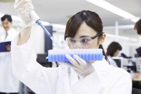 福岡市内はもちろん久留米鳥栖佐賀エリアお仕事多数