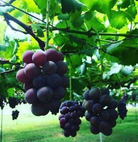 事業所の情報＿００２