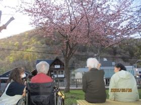 自然豊かな環境です