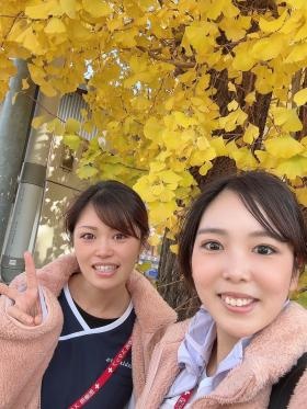 城陽店 イチョウや紅葉を観ながら訪問できます