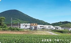 千綿農場（全景）約１１万羽の採卵鶏を飼っています。