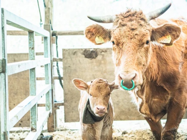 スキルアップが叶う環境です！ 勢いある当社でご活躍ください。