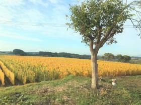 事業所の情報＿００５