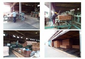 事業所の情報＿００２