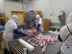 安全手袋も装備！