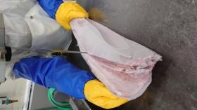 熟練のカット技術