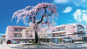 桜庵外観