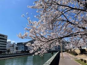 オフィスの公園は、お盆には演舞場となります