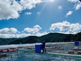 餌やりを自動化するスマート給餌機「ウミトロンセル」