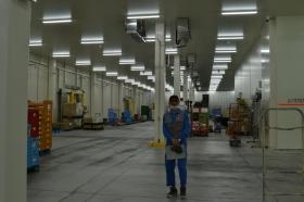 コールド物流センター 倉庫内