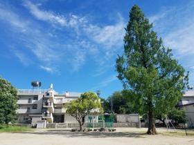 グラウンドから見た、児童養護施設蒲生会大和荘です。