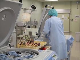 血液製剤業務（成分分離工程）