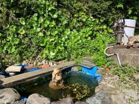 子どもたちと作った池