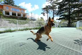 軽井沢ホテルそよかぜ ドッグラン