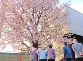 日常のご様子（散歩）