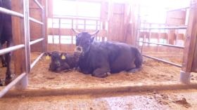 事業所の情報＿００７