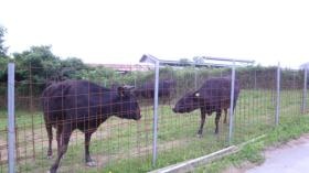 事業所の情報＿００６