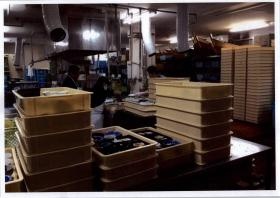 事業所の情報＿００９