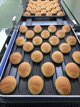 焼きたてのロールパンがずらり